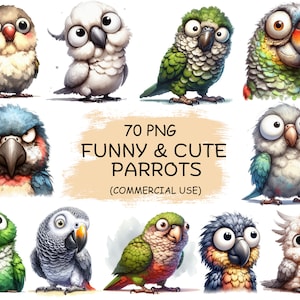 Leuke en grappige papegaaien Clipart PNG & JPG bundel - 70 aquarel schattige vogels dierlijke afdrukbare transparante illustraties | Commercieel gebruik