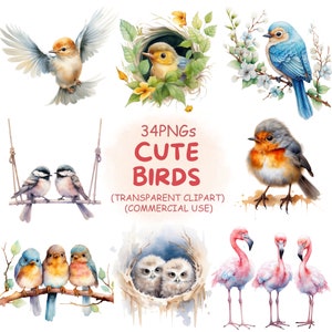 Cute Birds Clipart PNG Bundle- 34 Watercolor Colorful Birds Clip Art, Spring Flower Birds Blossom Printable Digital Download- Commercial Use