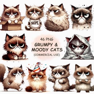 Ensemble PNG de cliparts mignons grincheux – 46 illustrations aquarelles de chatons maussades et drôles | Clipart animal de compagnie animal de compagnie en colère | Utilisation commerciale