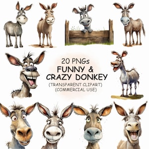 Carino divertente e stravagante asino clipart PNG Bundle - 20 acquerello animale viso stampabile trasparente clip art / download digitale / uso commerciale