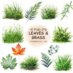 Watercolor Leaves Grass Clipart Bundle – 41 PNG+JPG Elements (Commercial Use)