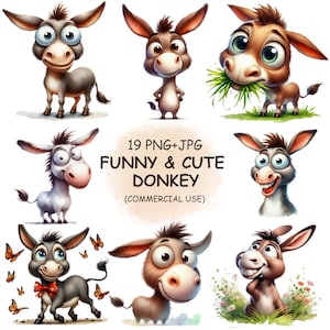 Bundle mignon de cliparts PNG âne drôle & décalé - 19 images transparentes imprimables animaux idiots aquarelles en téléchargement numérique à usage Commercial