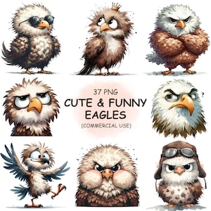 Cute Funny Eagle Expressive Face Clipart PNG Bundle - 37 Watercolor Quirky Birds Animals Clip Art | Digital Download | Commercial Use