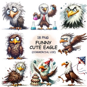 18 Lustig und niedlich Adler Vogel Clipart PNG Bundle - Aquarell Adler Winter Tiere Transparent Clip Art | Digitaler Download | Kommerzielle Nutzung