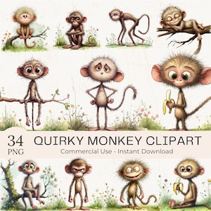 Quirky Monkey Clipart PNG: 34 Watercolor Funny Safari Animal Bundle (Digital Download) (Commercial Use)