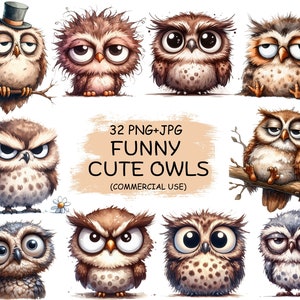Lustig und niedlich Eule Vögel Clipart PNG & JPG Bundle - 32 Aquarell mürrisch faulen schrulligen Tier druckbare transparente Clip Art | Kommerzielle Nutzung