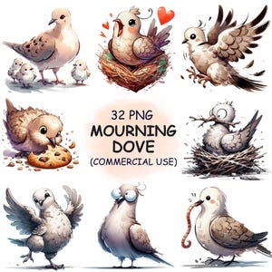 32 drôles mignons de colombe en deuil Clipart PNG Bundle - clipart oiseau aquarelle | Art transparent imprimable | Téléchargement numérique | Utilisation commerciale