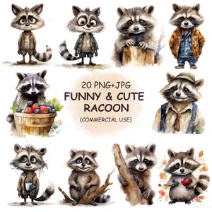 Niedliches lustiges und schrulliges Waschbär Hund Clipart PNG & JPG Bundle - 20 Aquarell Humor Cartoon Tiere Clip Art - Digitaler Download Kommerzielle Nutzung