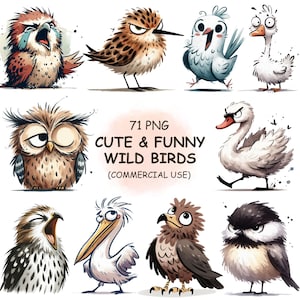 Imágenes prediseñadas de aves silvestres divertidas y adorables (PNG): 71 aves de safari en acuarela, arte animal peculiar, imágenes imprimibles, descarga digital, uso comercial