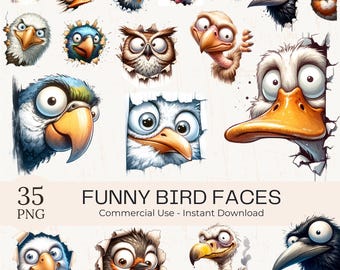 35 Lustige guckende Vögel Clipart: schrullige Tiergesichter PNG Bundle (kommerzielle Nutzung)