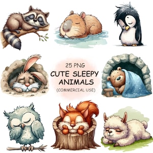 Bundle de cliparts PNG mignons animaux endormis - 25 cliparts aquarelle animaux endormis | Art transparent | Téléchargement numérique | Utilisation commerciale