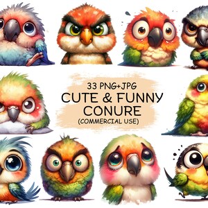 Lindo y divertido paquete de imágenes prediseñadas PNG y JPG de conure: 33 adorables pájaros de acuarela, animales, imágenes prediseñadas transparentes imprimibles / uso comercial