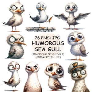 Clipart mouette oiseau drôle et hilarant PNG & JPG Bundle - 26 clipart mouette aquarelle original - téléchargement numérique
