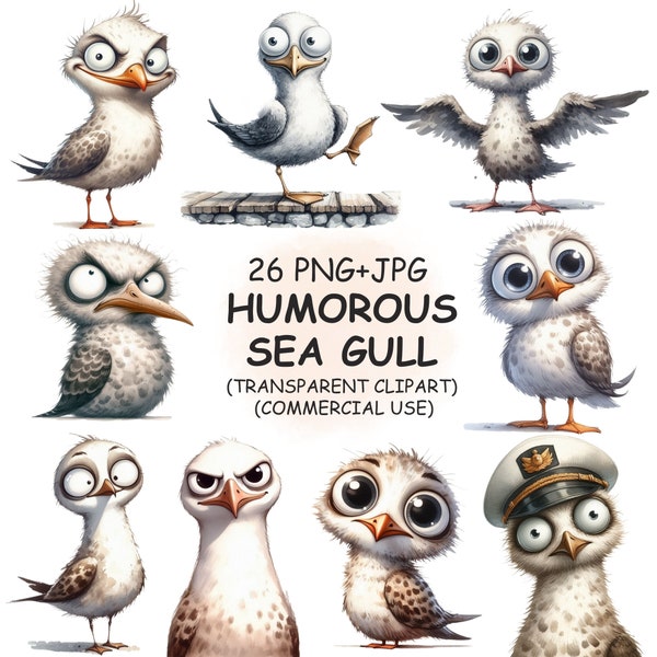 Funny and Hilarious Bird Seagull Clipart PNG & JPG Bundle - 26 Watercolor Quirky Cute Sea Gull Clip Art - Digital Download Commercial Use