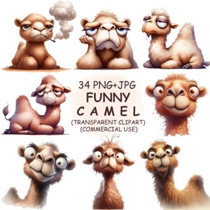 Pacchetto PNG di clipart di cammelli divertenti e stravaganti - 34 clipart di cammelli di animali del deserto caldo ad acquerello - Immagini per uso commerciale con download digitale