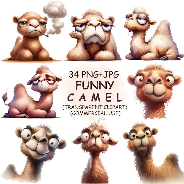 Funny & Cute Summer Camel Clipart PNG + JPG Bundle - 34 Watercolor Lazy Quirky Hot Animal Camel Clip Art - Digital Download Commercial Use