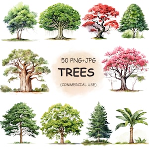 Aquarel bomen clipart PNG+JPG bundel voor commercieel gebruik-50 boom planten bloem clip art digitale download afdrukbare transparante afbeeldingen