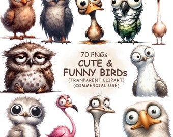 70 Funny and Cute Birds Clipart PNG Bundle- Watercolor Quirky Animals Clip Art | Printable Silly Art | Digital Download | Commercial Use
