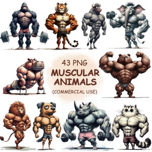 Bundle de 43 animaux de la salle de sport musclés Clipart PNG - aquarelle forte gros corps Safari animaux des bois Clip Art - Image imprimable à téléchargement numérique
