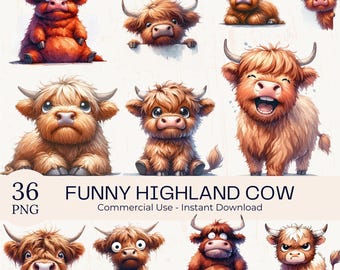36 lustige Highland Kuh Clipart: Aquarell schrullige PNG PNG Farmtier Grafiken Bundle (digitaler Download)