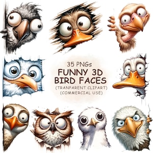 Bundle de 35 visages d'oiseaux furtifs drôles et décalés, aquarelle, clipart imprimable en téléchargement numérique Transparent, usage commercial