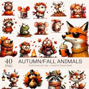 Herbst Tiere Clipart: 40 gemütliche Herbst Wald PNG Grafiken (digitaler Download)