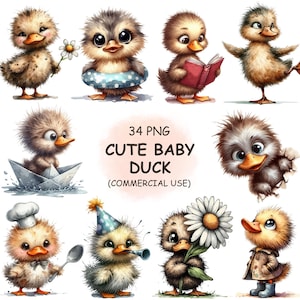 Cute Baby Duck Clipart PNG Bundle – 34 Funny Watercolor Duck & Goose Illustrations | Quirky Bird Animals | Digital Download, Commercial Use