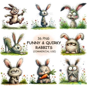 36 grappig eigenzinnig konijn clipart konijntje PNG bundel - aquarel schattige grillige dieren illustraties - sublimatie digitale download commercieel gebruik