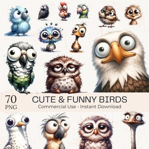 70 Funny Birds Clipart PNG Bundle: Watercolor Quirky Animal Art (Digital Download, Commercial Use) image 1
