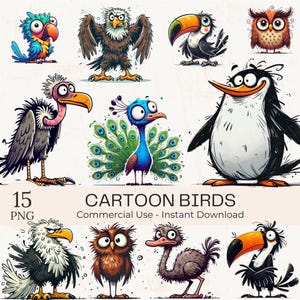 Quirky Bird Clipart PNG Bundle: Funny Animal Art (Commercial Use) (Digital Download)