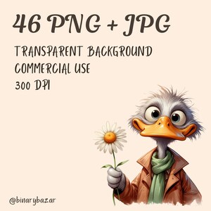 May include: A cartoon illustration of a white and gray bird with a yellow beak holding a white daisy with a yellow center. The bird is wearing a brown jacket and a green scarf. The text "46 PNG + JPG", "TRANSPARENT BACKGROUND", "COMMERCIAL USE", and "300 DPI" is displayed above the bird. The text "@binarybazar" is displayed below the bird.
