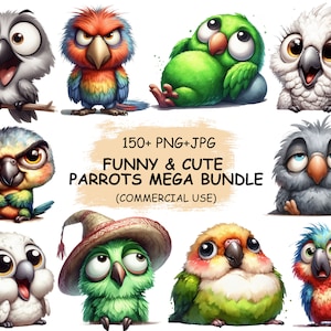 Cute and Funny Parrots Mega Bundle Clipart PNG & JPG Bundle - 150+ Watercolor Adorable Birds Printable Transparent Clip Art | Commercial Use