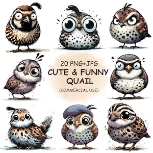Bundle de cliparts drôles et mignons d'oiseaux de caille PNG et JPG - 20 cliparts transparents imprimables originaux à l'aquarelle | Utilisation commerciale | Téléchargement numérique