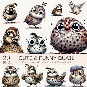 Clipartbundel aquarel kwartel: 20 grappige vogels, png en jpg (digitale download)