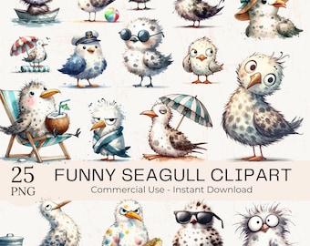 Lustige Möwe Clipart PNG - 25 schrullige Aquarell Strandvögel Bundle (digitaler Download) (kommerzielle Nutzung)