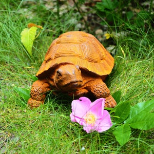 May include: A rusty metal turtle statue in a grassy garden setting with a pink flower in the foreground.