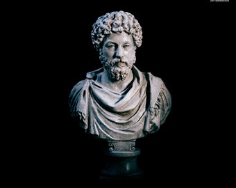 Decorazione del busto di Marco Aurelio