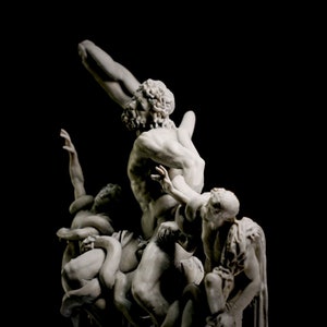 Décoration Sculpture Laocoön et ses fils image 3