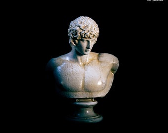 Bust of Antinous. Exact hand-painted replica. 3D printed. Marble or bronze finish.