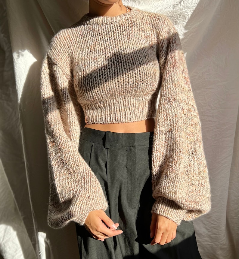 Embellished Knitted Crop Jumper - Choco Brown & Beige main image 1