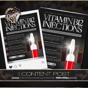 vitamin b12 injection contents Vitamin B-12 1000 Injection (VetOne), 100 mL main image 0