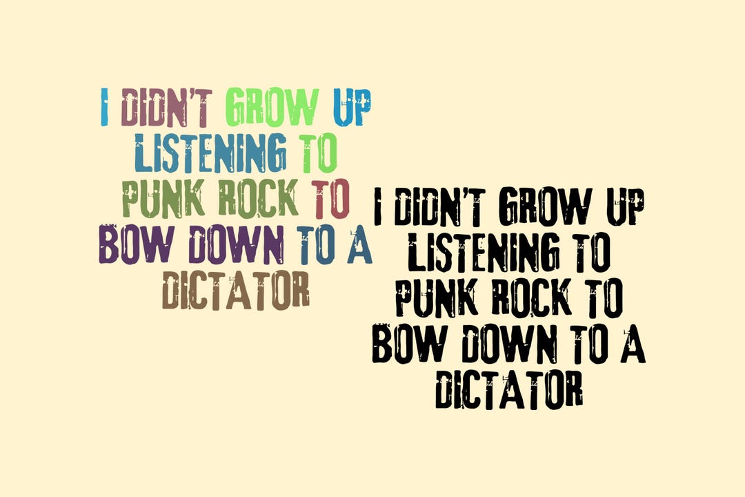 I Didn't Grow up Listening to Punk Rock SVG PNG, Punk Quote Svg ...