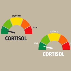 Könnte beinhalten: Zwei Cortisol-Pegel-Anzeigen auf beigem Hintergrund. Jede Anzeige ist ein Halbkreis mit einer Nadel und dem Wort "CORTISOL" darunter. Die Anzeigen sind grün, gelb, orange und rot gefärbt, mit den Bezeichnungen "LOW", "MEDIUM" und "HIGH".