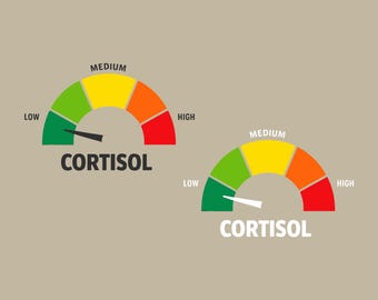 Low Cortisol Level PNG,  Funny Stress Meme Png, Funny Cortisol Png, Mental Health Meme Png, Science Joke Gift.