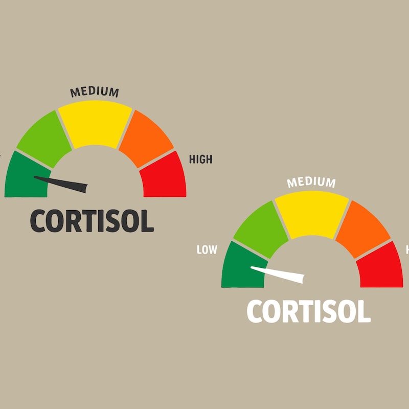 Funny Psychology Wall Art - Etsy