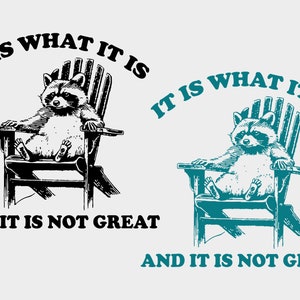 It Is What It Is And It Is Not Great SVG PNG files, Funny Raccoon PNG, Trash Panda Svg, Opossum png, Gifts.