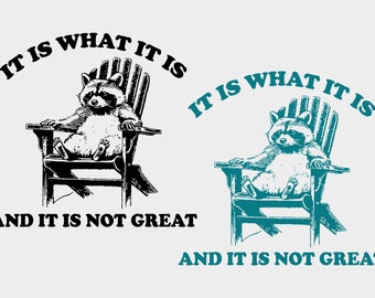 It Is What It Is And It Is Not Great SVG PNG files, Funny Raccoon PNG, Trash Panda Svg, Opossum png, Gifts.