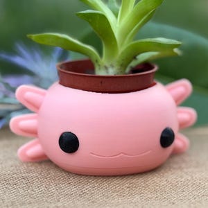 May include: A pink axolotl-shaped planter with a small succulent plant. The planter has black eyes and a smiling mouth. It sits on a burlap cloth, with a purple table in the foreground and greenery in the background.