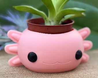 Smiling Axolotl Head Pot Planter with cute eyes – Colorful and in Multiple Sizes