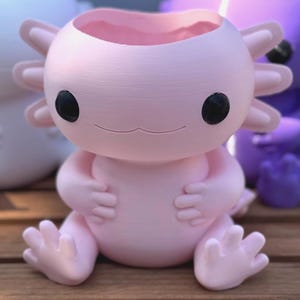 May include: Three axolotl-shaped planters in white, pink, and purple, sitting on a wooden platform. The planters have black eyes and a smiling mouth. The pink axolotl is in the foreground, with the white and purple ones behind it.